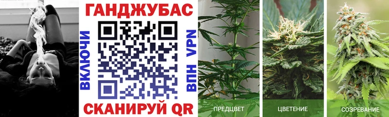 Бошки Шишки ГИДРОПОН  Луховицы 
